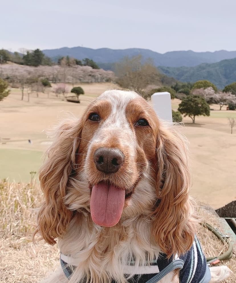 Waiting for your contact